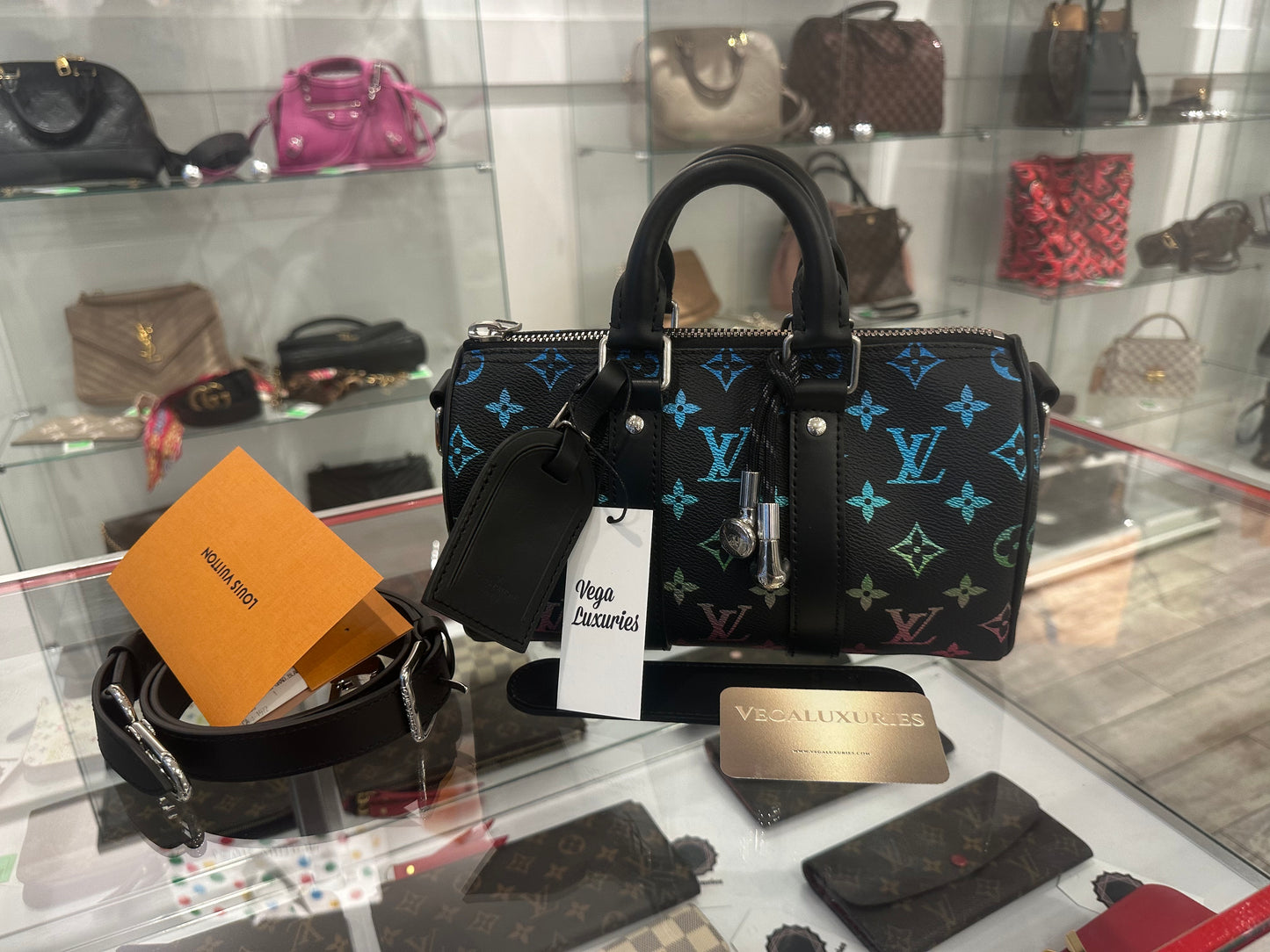 Louis Vuitton Multicolor Limited Speedy