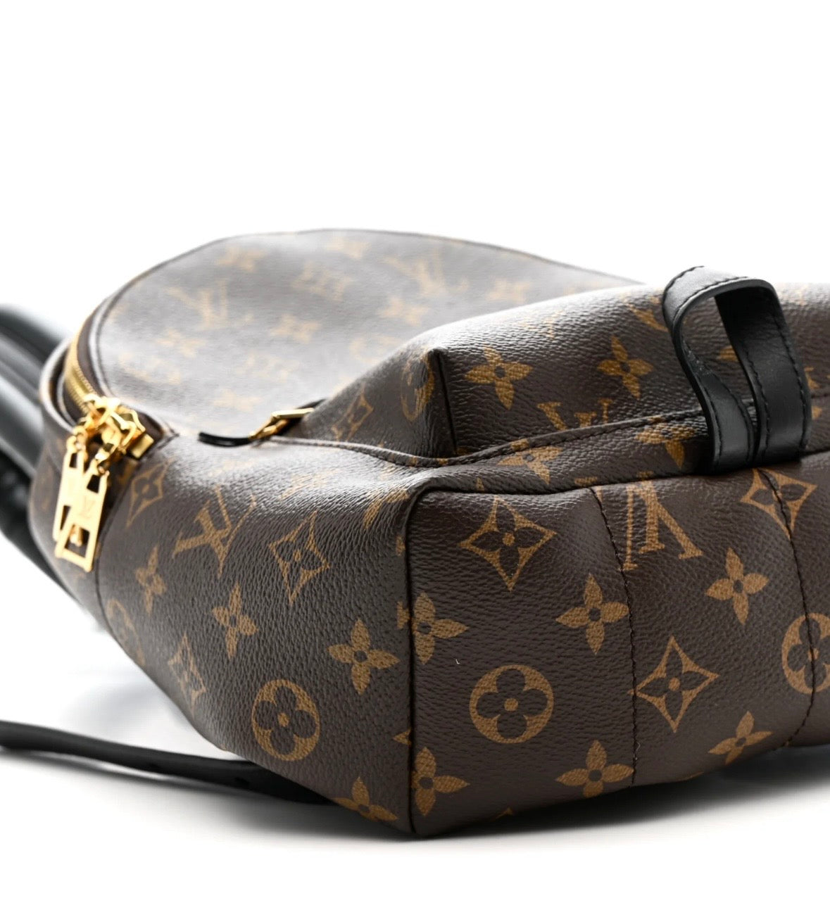 Louis Vuitton Palm Spring PM Brown Canvas Backpack