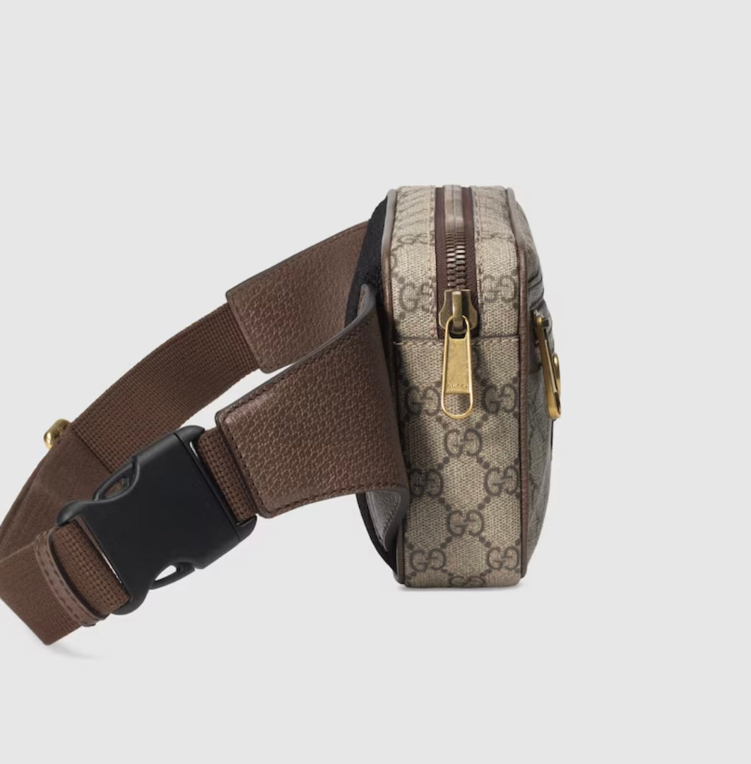 Gucci Beltbag,Bumbag