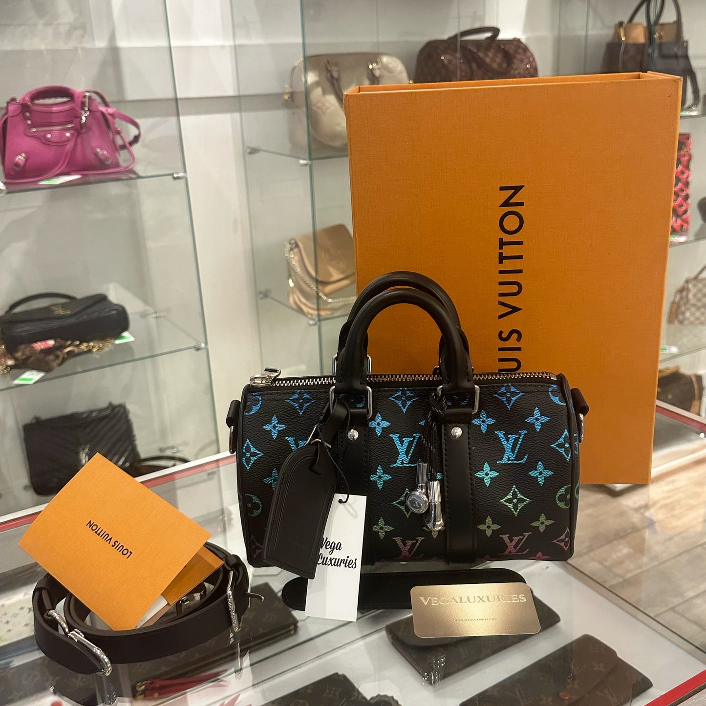 Louis Vuitton Multicolor Limited Speedy