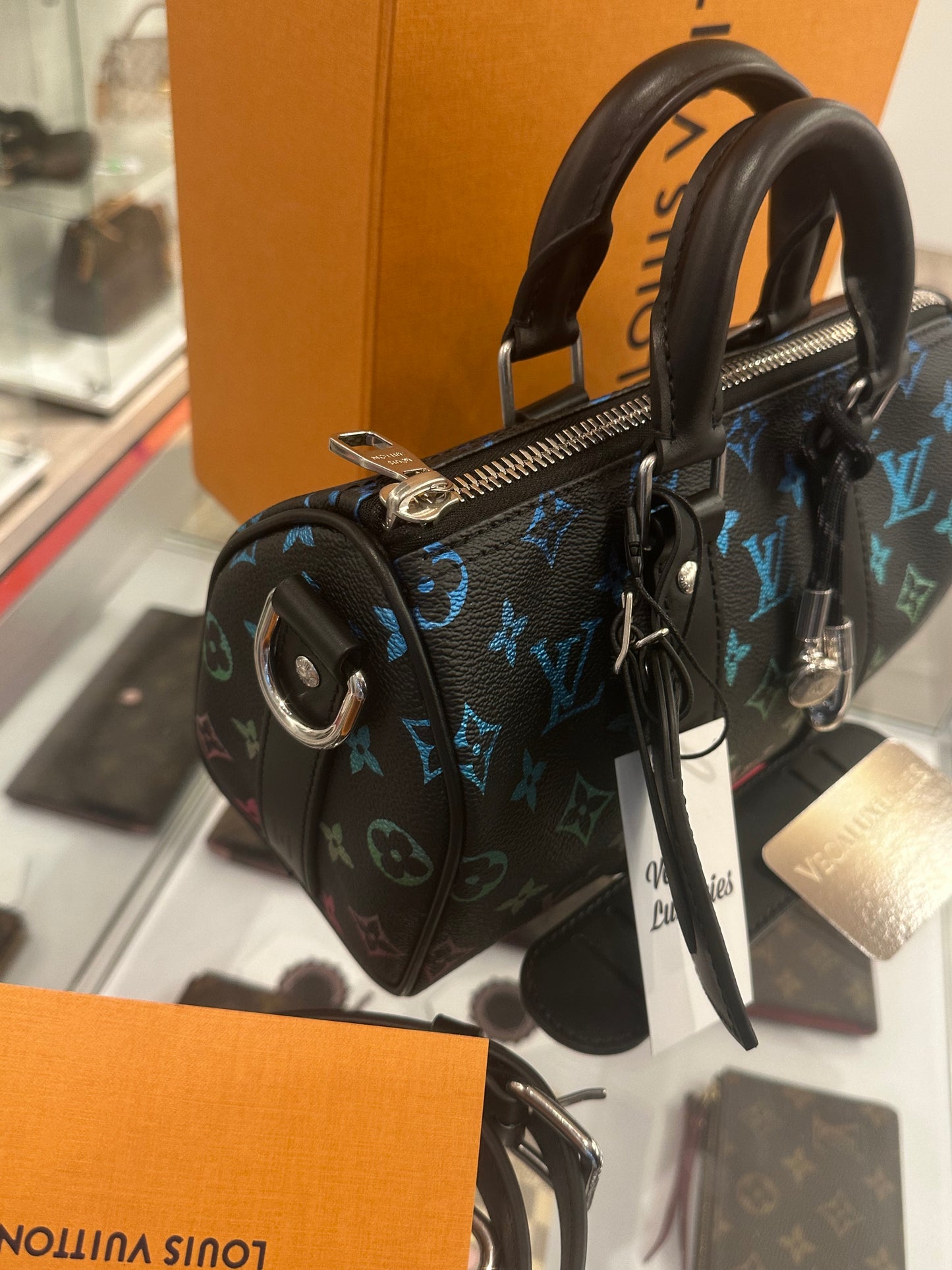 Louis Vuitton Multicolor Limited Speedy