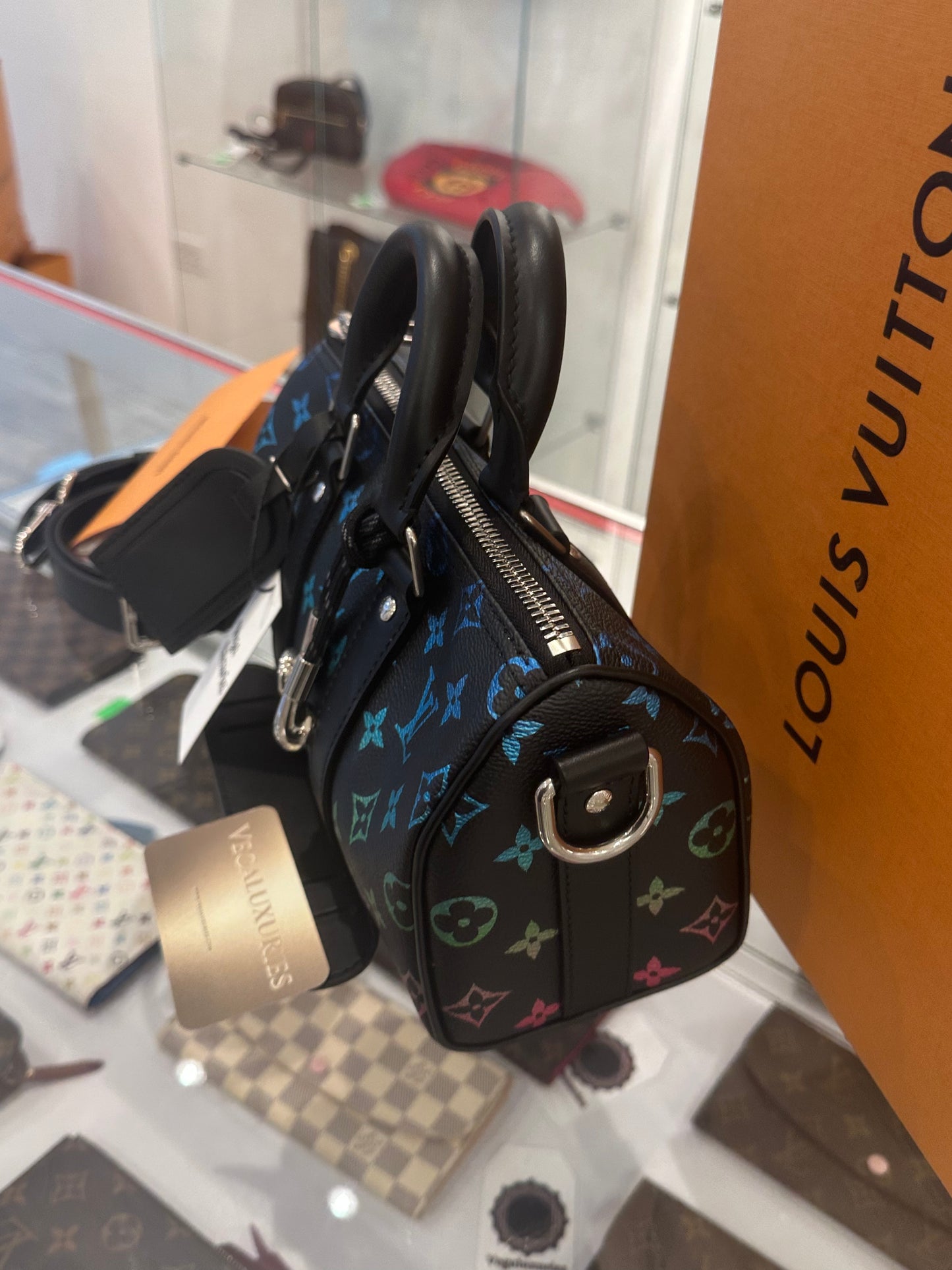Louis Vuitton Multicolor Limited Speedy