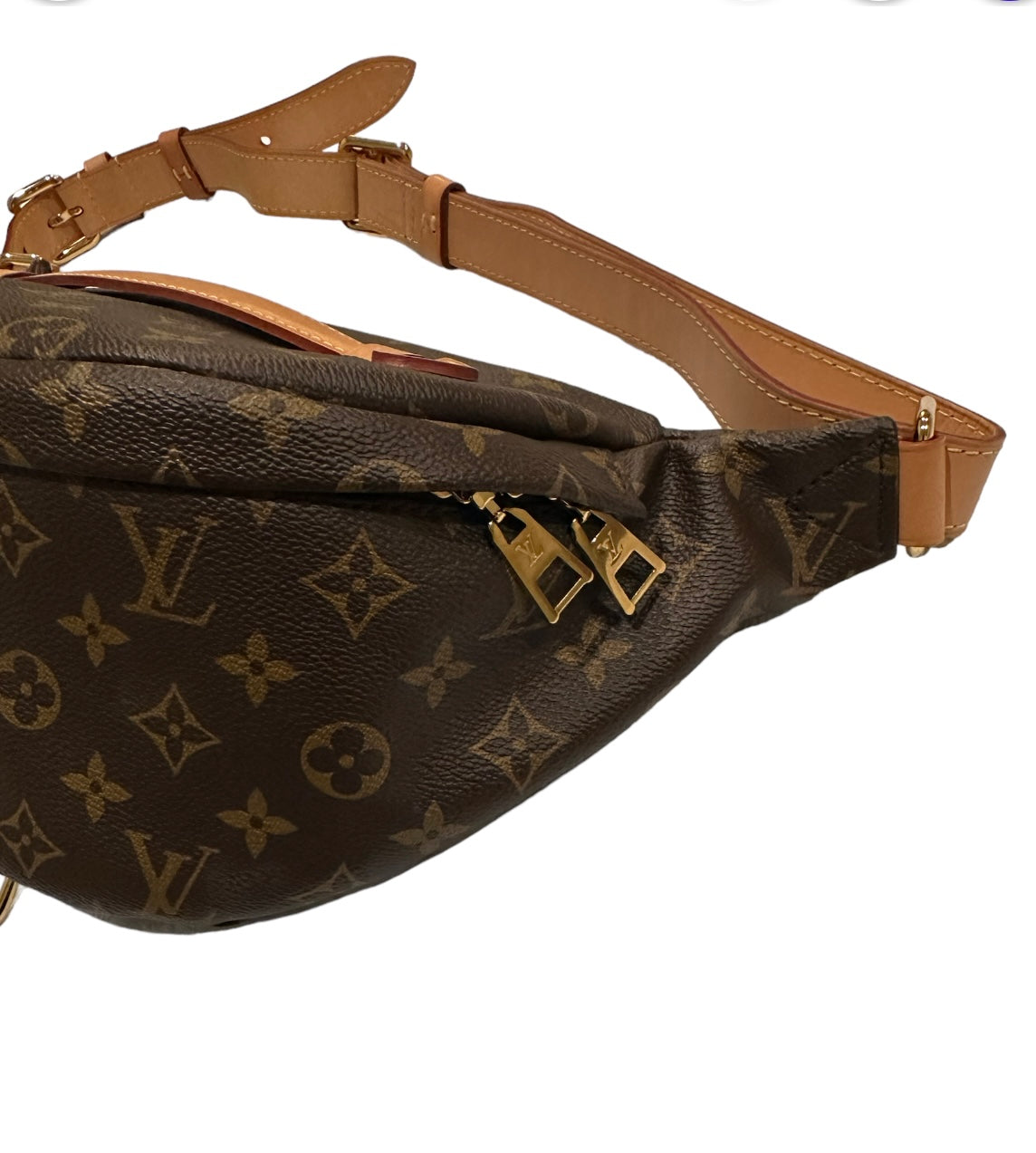 Louis Vuitton Monogram Bumbag