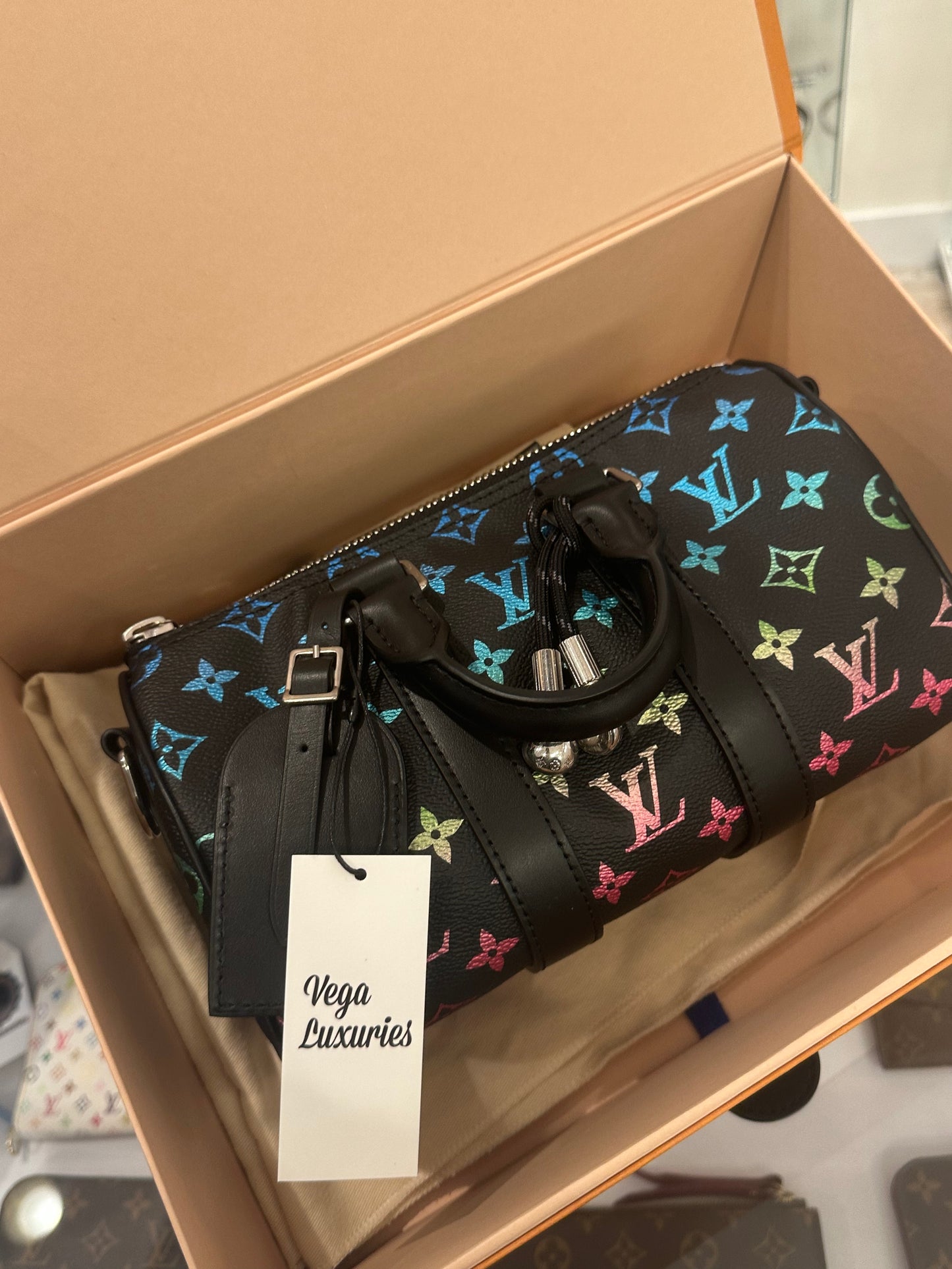 Louis Vuitton Multicolor Limited Speedy