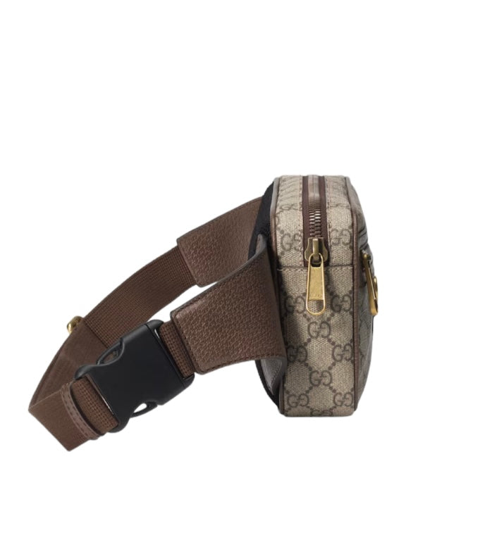 Gucci Beltbag,Bumbag