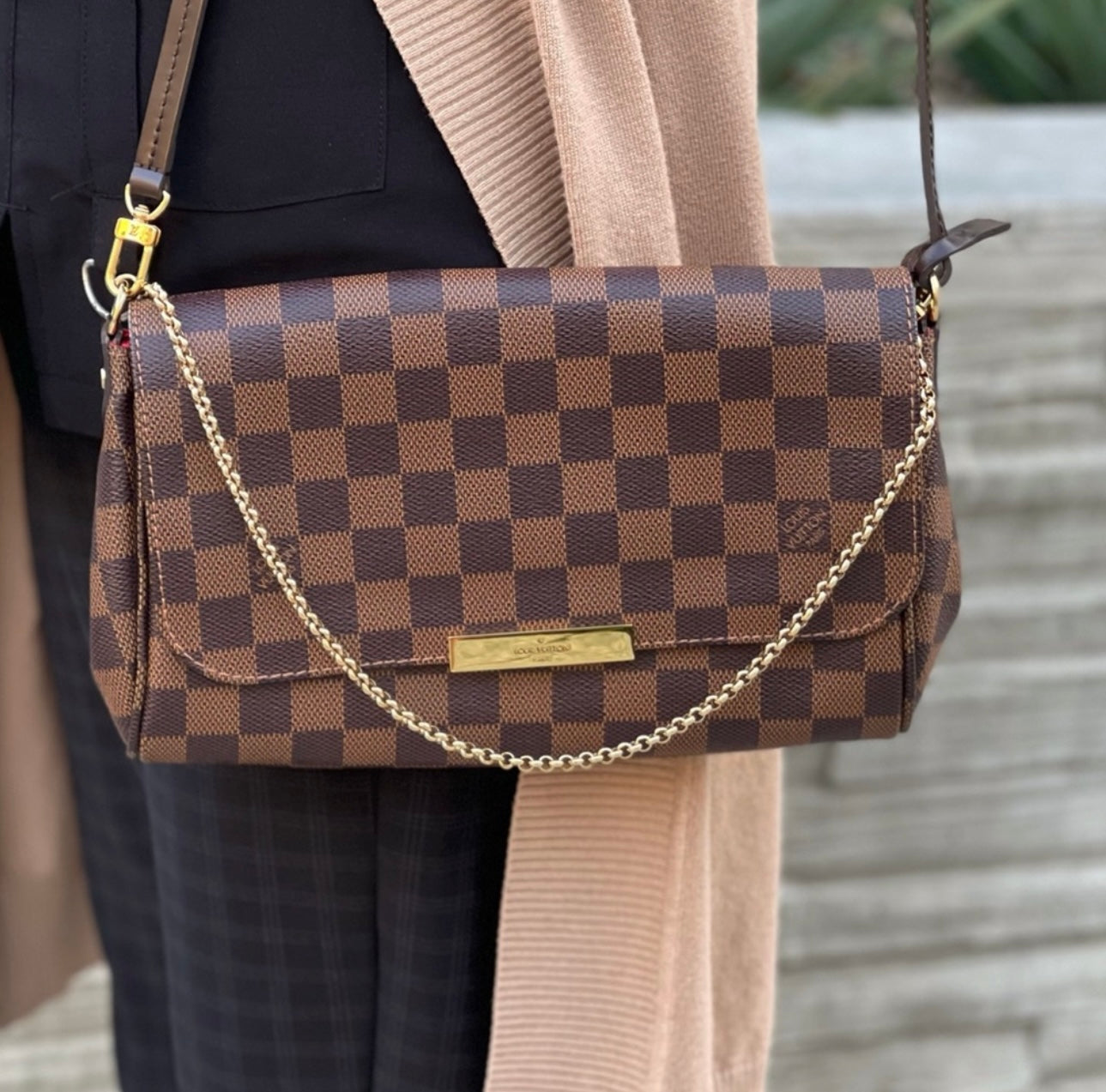 Louis Vuitton Damier Favorite MM
