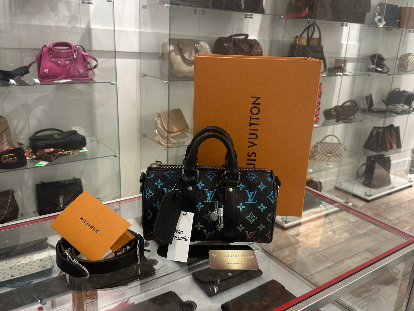 Louis Vuitton Multicolor Limited Speedy