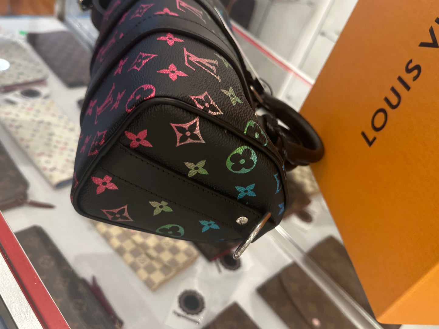 Louis Vuitton Multicolor Limited Speedy