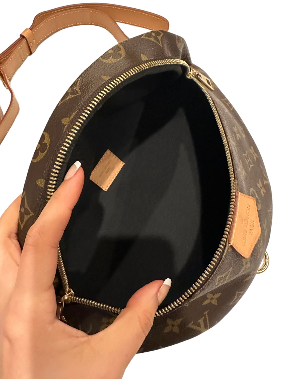 Louis Vuitton Monogram Bumbag