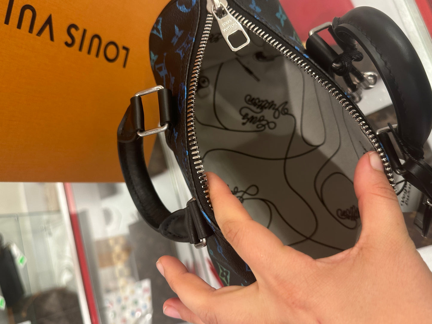 Louis Vuitton Multicolor Limited Speedy