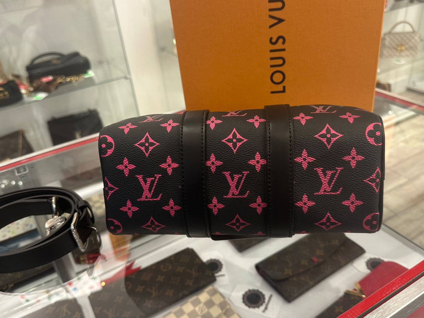 Louis Vuitton Multicolor Limited Speedy