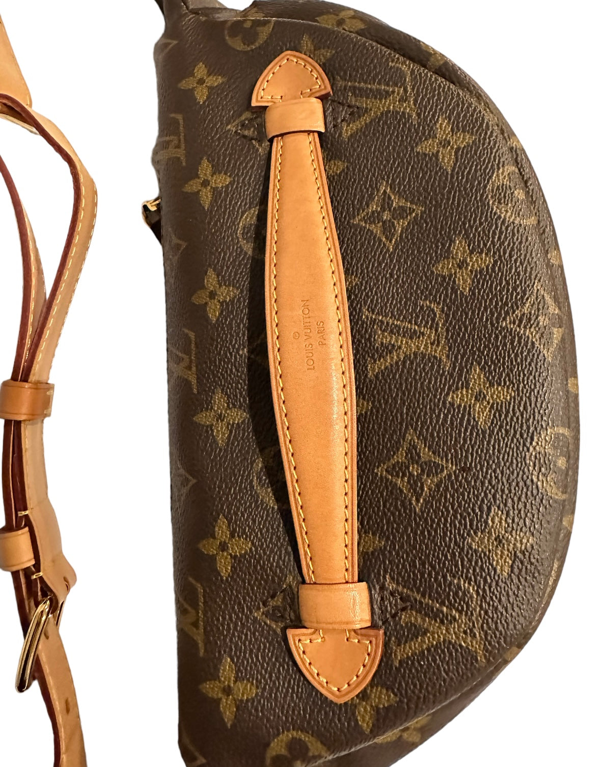 Louis Vuitton Monogram Bumbag