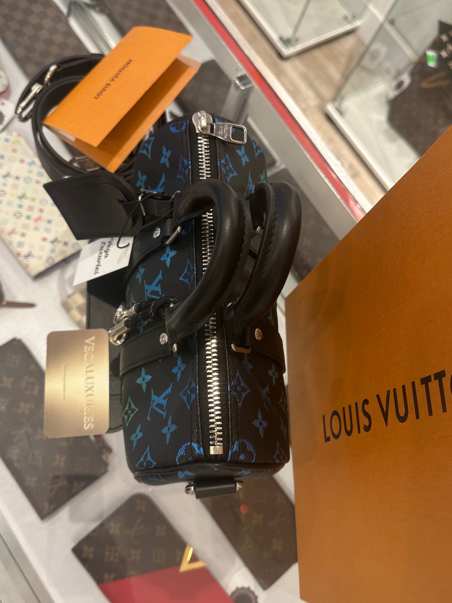 Louis Vuitton Multicolor Limited Speedy