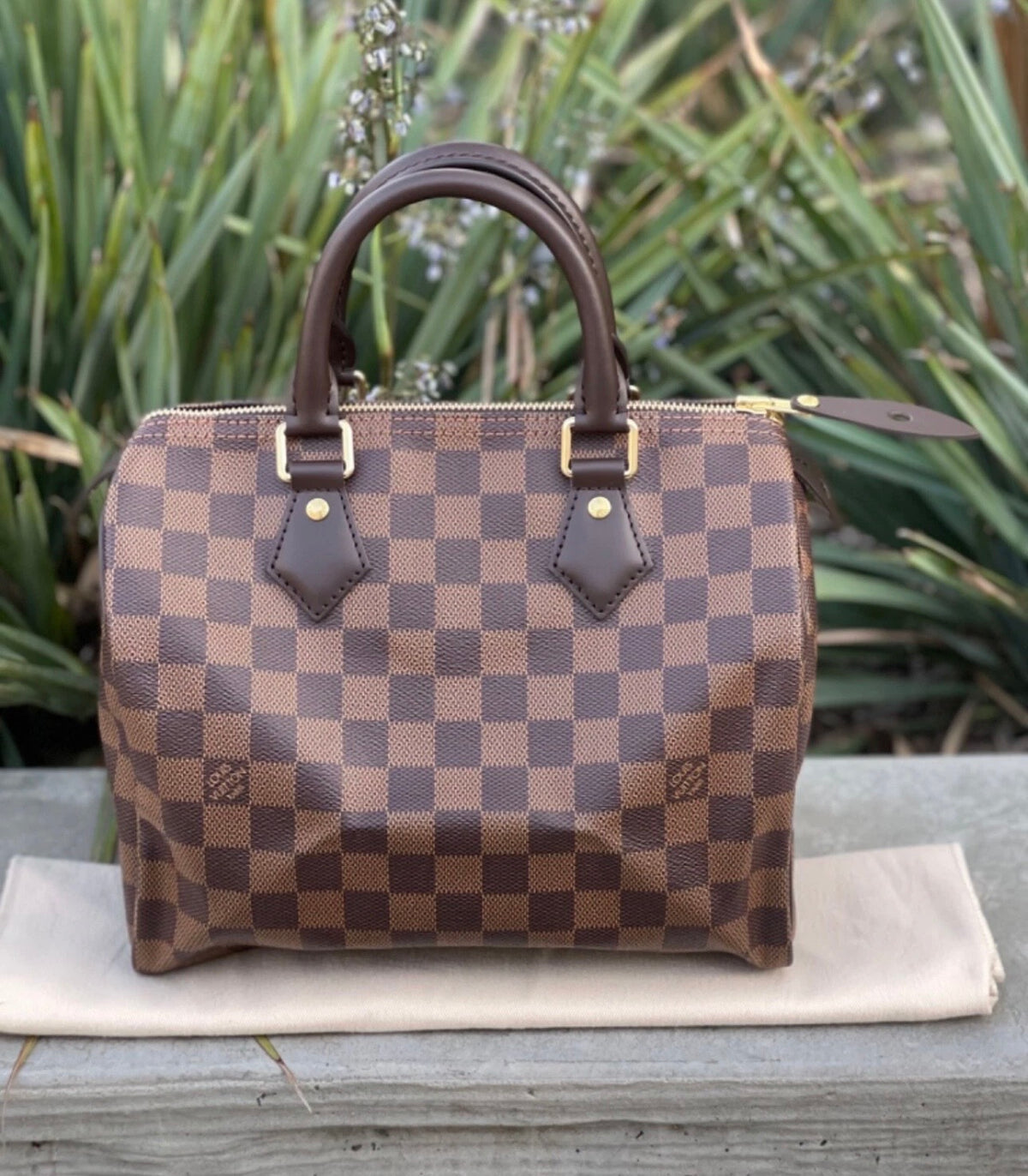 Louis Vuitton Speedy 25