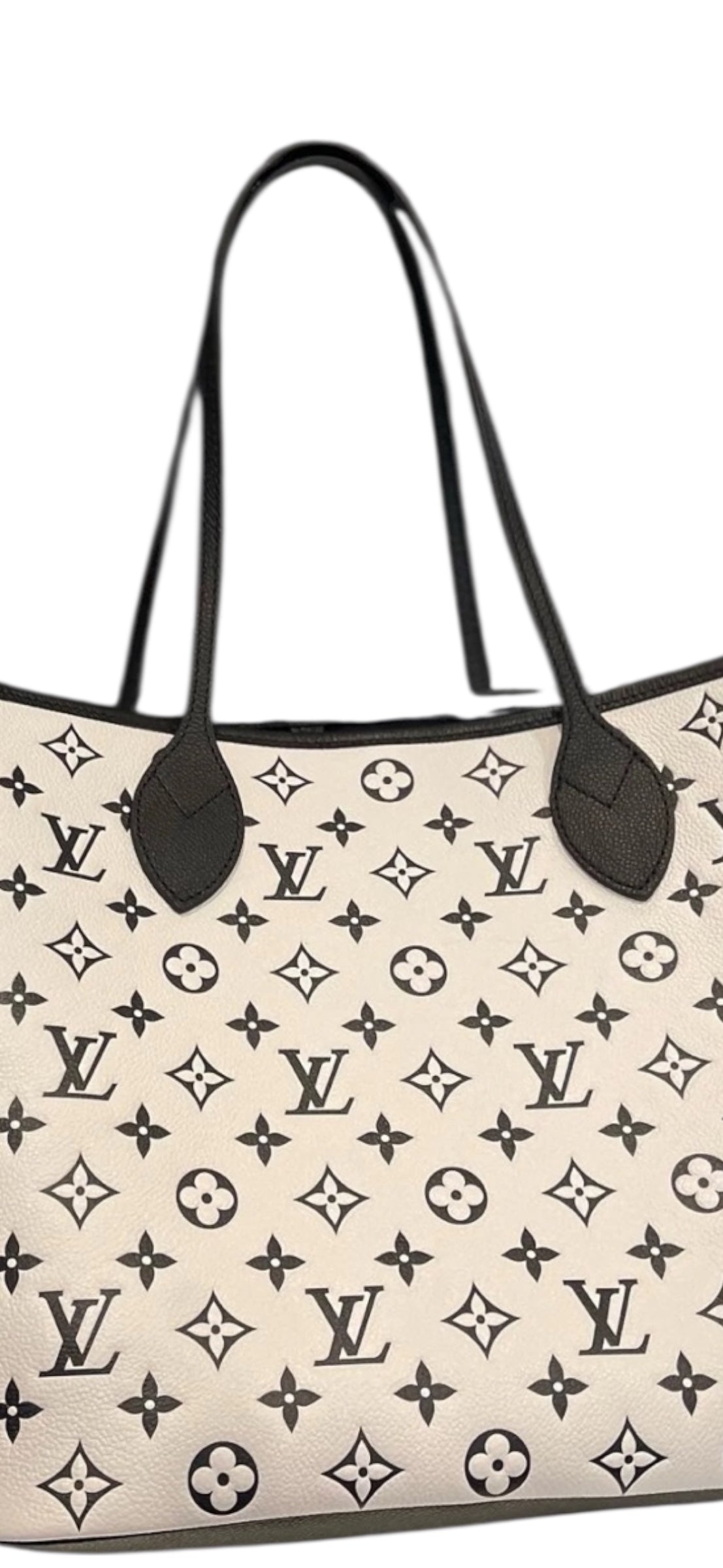 Louis Vuitton Spring in the City Limited Neverfull Multicolor