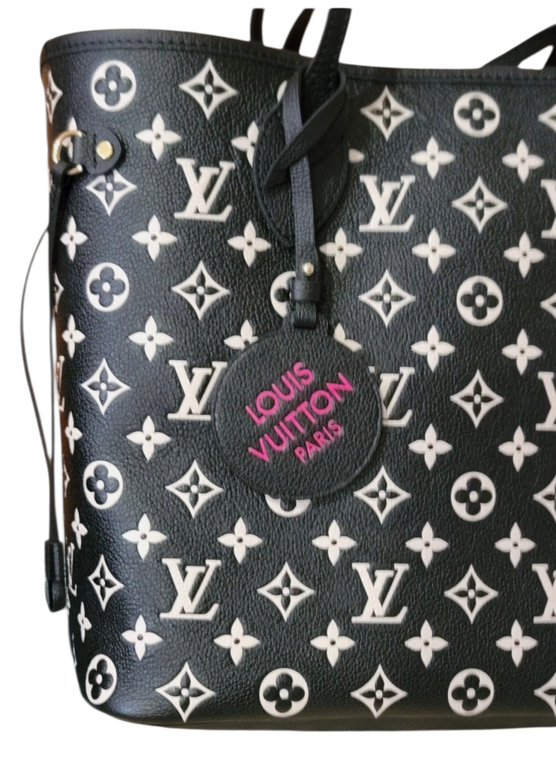 Louis Vuitton Spring in the City Limited Neverfull Multicolor