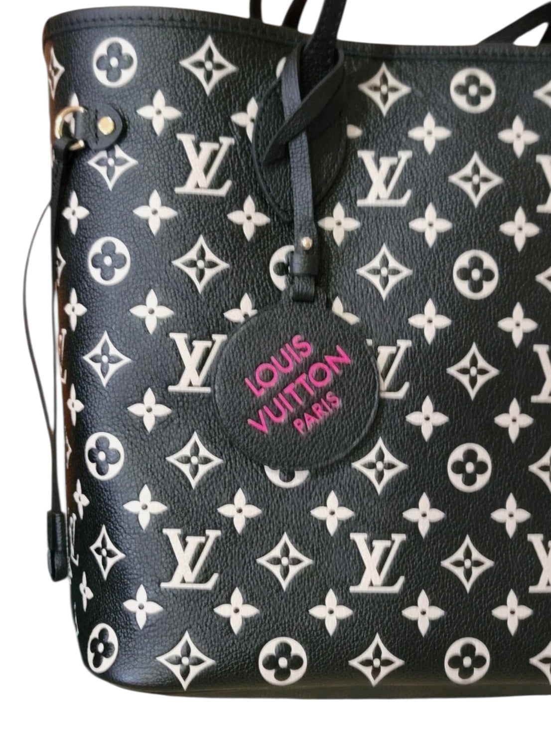 Louis Vuitton Spring in the City Limited Neverfull Multicolor