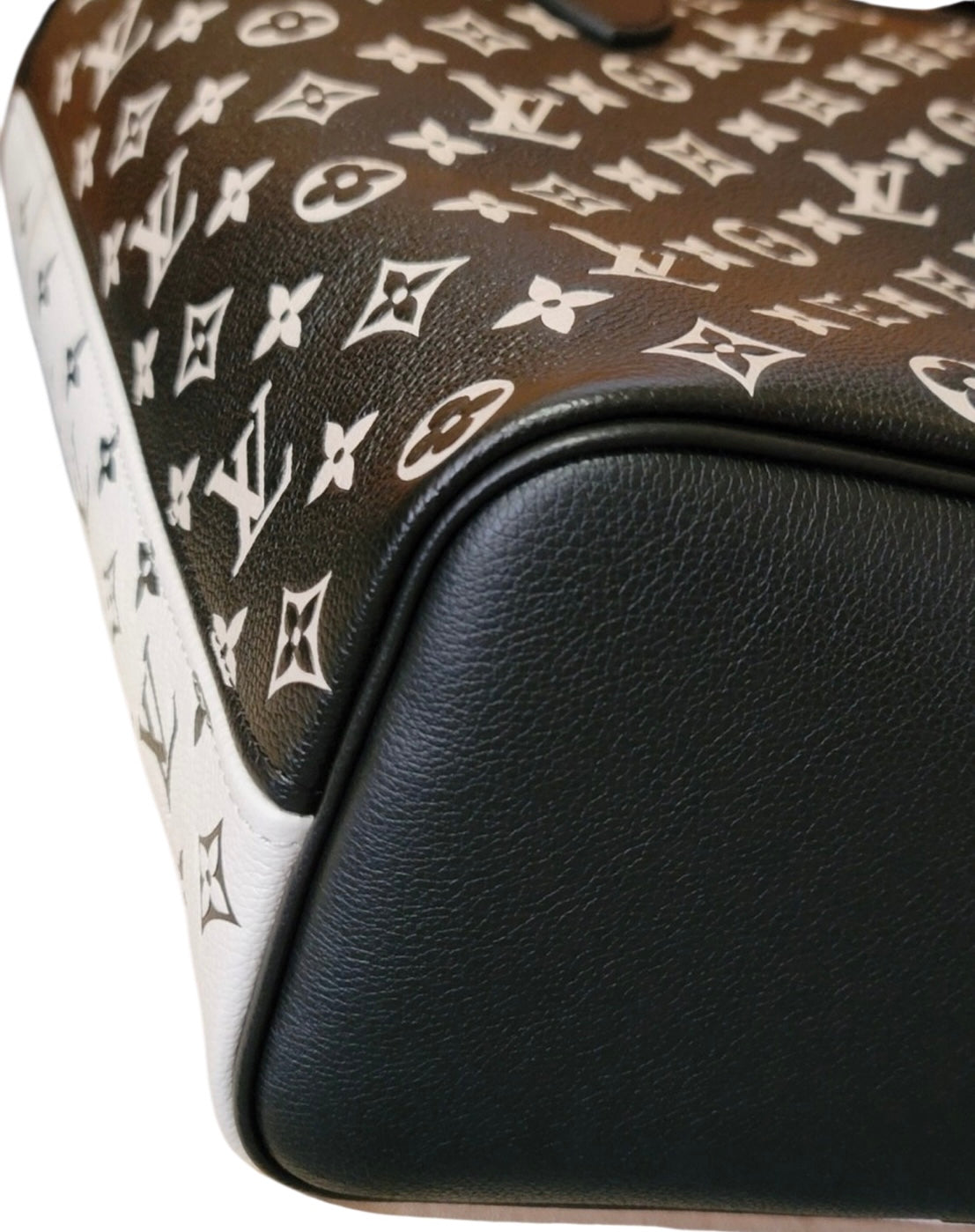 Louis Vuitton Spring in the City Limited Neverfull Multicolor