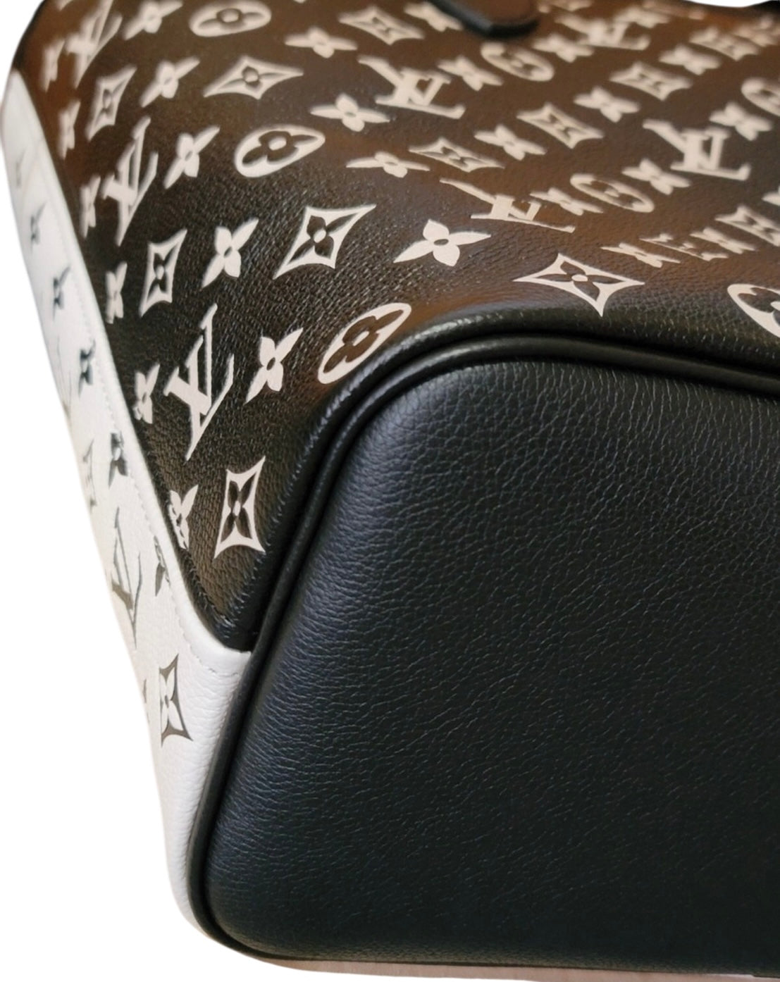 Louis Vuitton Spring in the City Limited Neverfull Multicolor