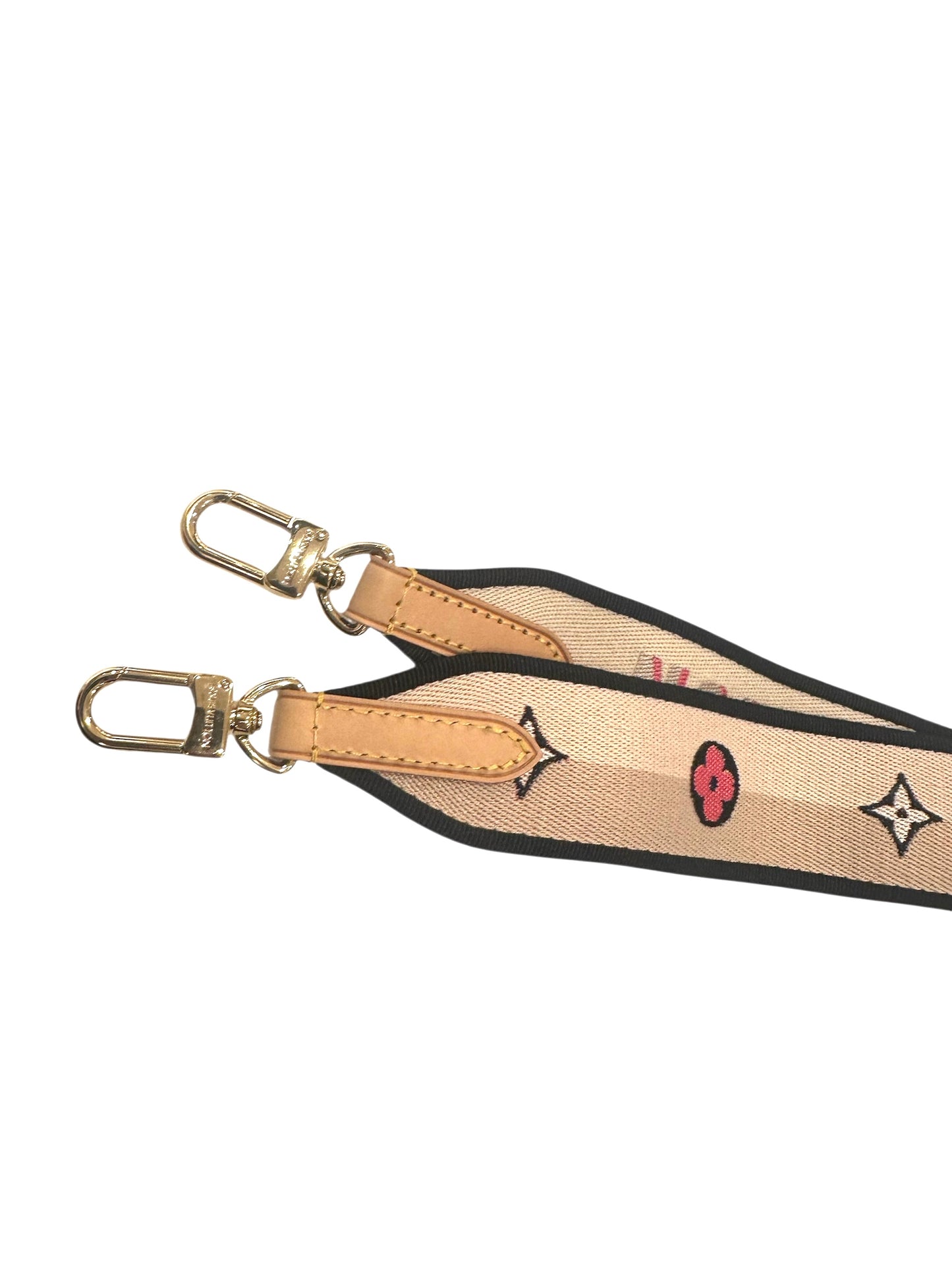 Louis Vuitton Speedy 20 St.MNG Noir Brown Canvas Cross Body Bag