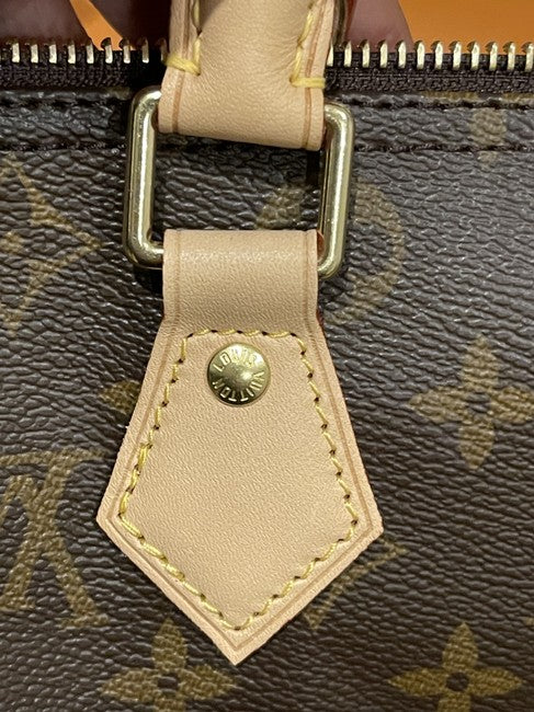 Speedy 25 Brown Monogram Canvas and Calfskin Cross Body Bag