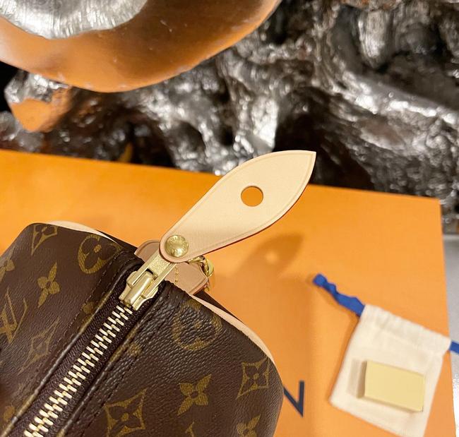 Speedy 25 Brown Monogram Canvas and Calfskin Cross Body Bag